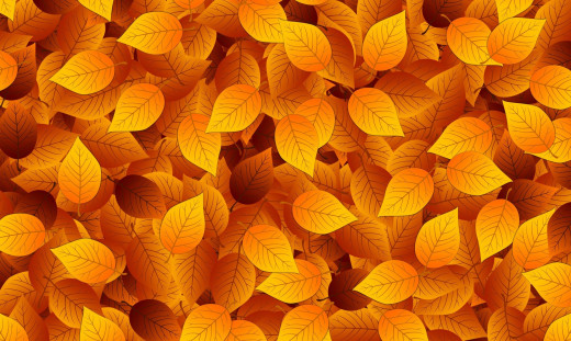 1023360 (a): :1920x1145